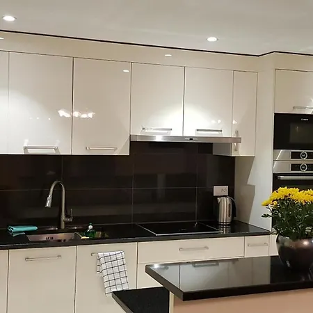 Coeur Du Leman Apartamento
